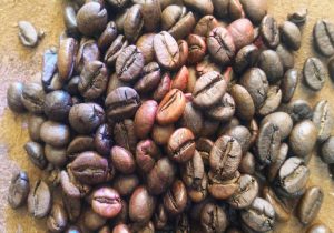 واردات قهوه پلنتیشن درجه یک