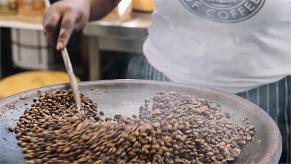 پخش دانه قهوه اتیوپی